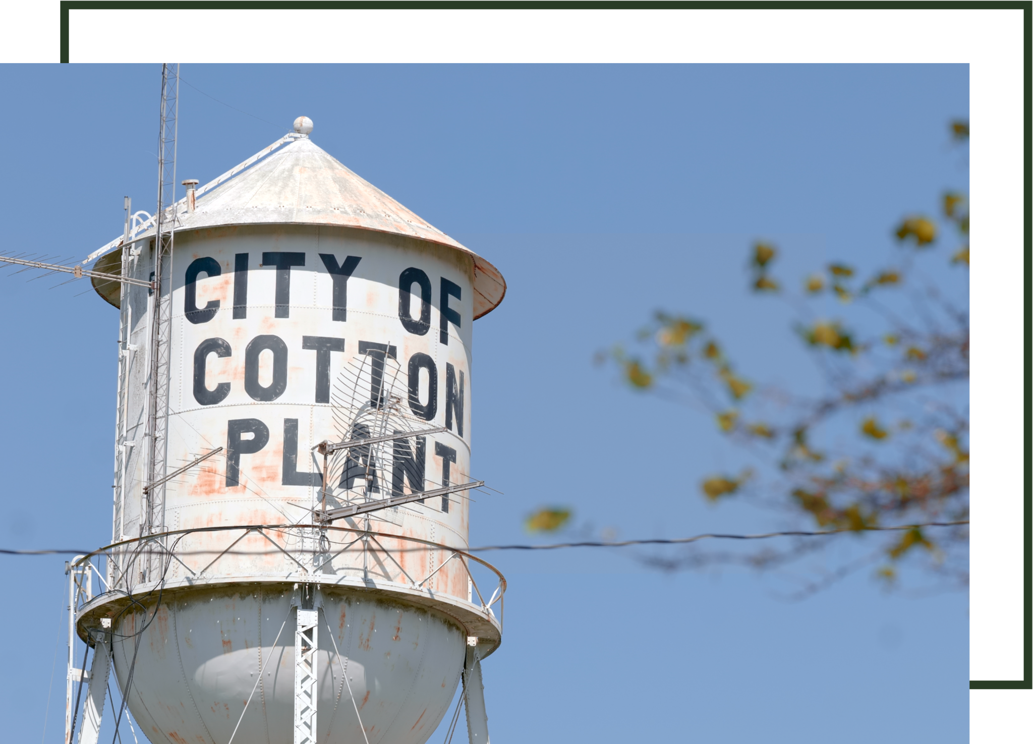 Cotton Plant Arkansas water tower landmark in historic Delta town where BOLD Cannabis serves as primary employer.